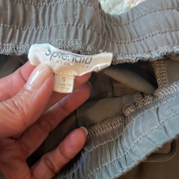 Splendid Joggers - Picture 3 of 5